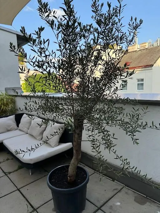 Terrassentraum Fuer 2 Apartment Vienna
